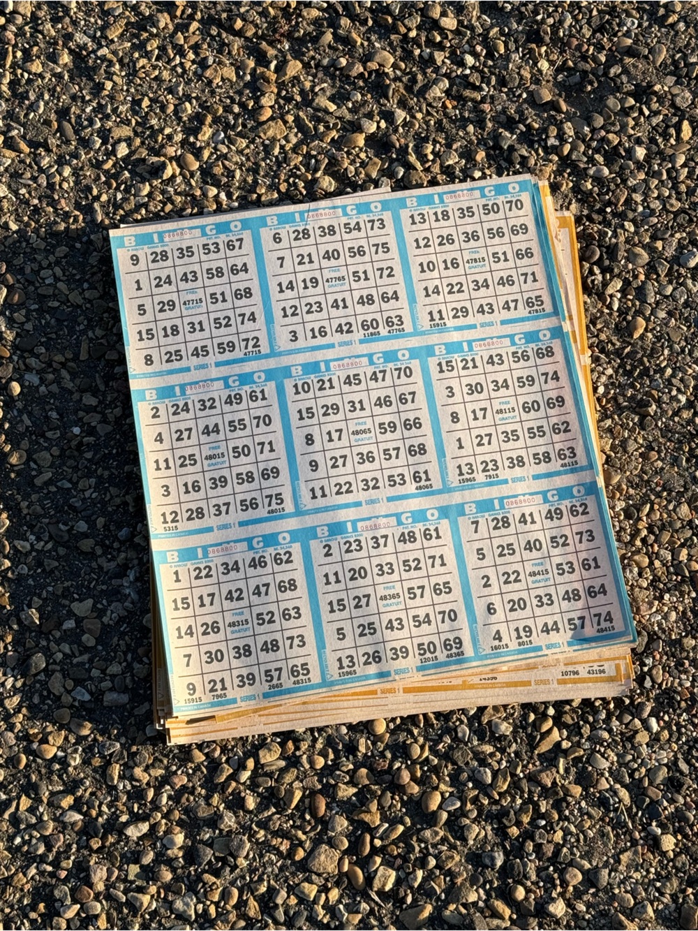 Unused Vintage BINGO Game Paper by Arrow Games 2000 Printed in Canada Series 1